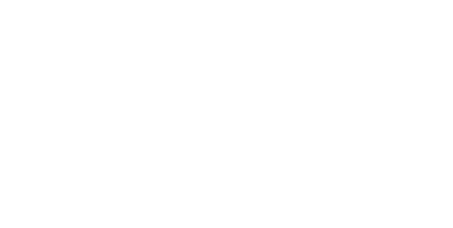 Bruceville Point's Logo